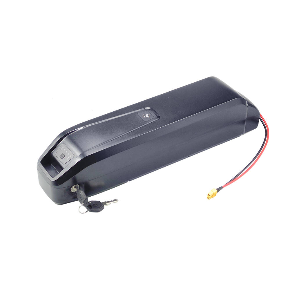 New S20 Pro 48V 13Ah 20Ah Hail - Ebike Battery 48V 20Ah Hailong ulasan dan harga